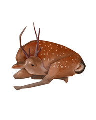 Illustration of a little deer. Digital illustration