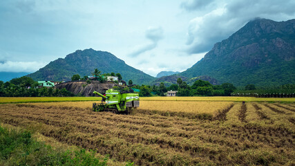 Naklejka premium Modern tractor with former harvesting rice plant with nature mountain background. Nagercoil, Kanyakumari District. South India. 24 October 2020.