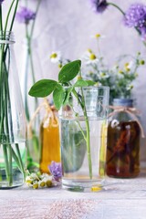 Bouquets and tinctures of medicinal herbs in glass containers on a wooden table, natural cosmetics, healthy lifestyle concept