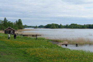 landscape with cows on the lake