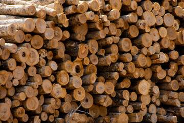 Pile of wood logs stacked against building ready for processing.