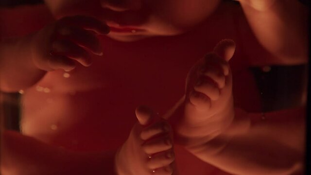 Human baby in a female womb. Embryo development during pregnancy. Imitation with a doll.