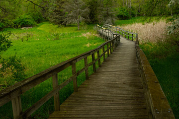 Fototapeta na wymiar Wood walking bridge over wet marshy area in Michigan.