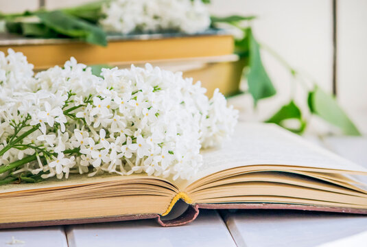 an old book with a novel and a branch of white lilac on it