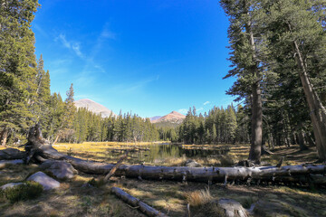 A beautiful scenery on Tioga Road, Yosemite National Park