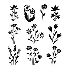 Wildflower silhouette line art set. Herbal and meadow plants, grass. Vector illustration isolated.