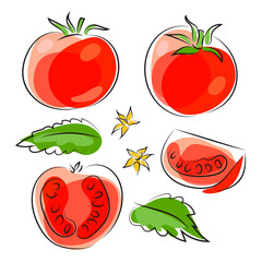 Set of red tomato whole and piece, leaves and flowers of tomato. Line drawing graphic illustration. Isolated on white. - obrazy, fototapety, plakaty