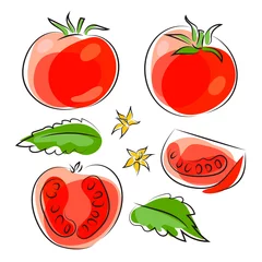 Fotobehang Set of red tomato whole and piece, leaves and flowers of tomato. Line drawing graphic illustration. Isolated on white. © Oleksii