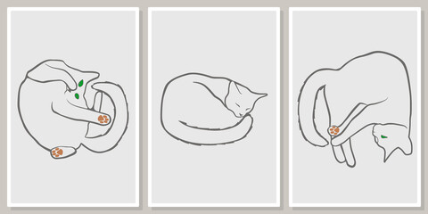 Sleeping cats -wall art vector set.  For wall art, poster, wallpaper, print.