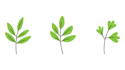 Three green leaves isolated on white background , Vector Illustration EPS 10