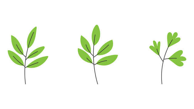 Three green leaves isolated on white background , Vector Illustration EPS 10