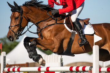 Horse Jumping, Equestrian Sports, Show Jumping event themed photograph