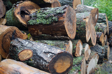 Gas conflict, firewood, preparation for winter