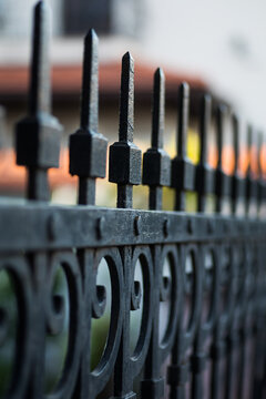 Forget iron fence