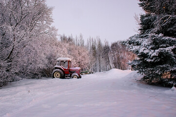 Farms in Winter, Iceland