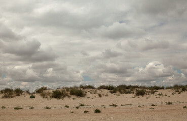 Fototapeta na wymiar Sand dunes and cloudy sky