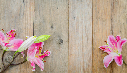 Pink lily flowers on rustic wooden background with copy space
