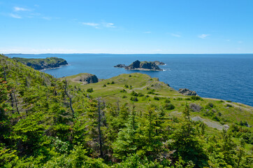 The shore of Newfoundland
