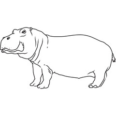 Hand Sketched, Hand Drawn Hippopotamus Vector