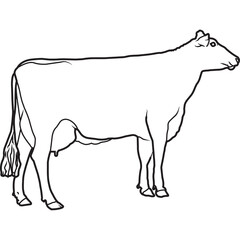 Hand Sketched, Hand Drawn Brown Swiss CowVector
