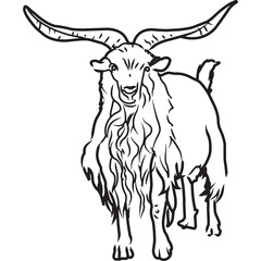 Hand Sketched, Hand Drawn Cashmere Goat Vector