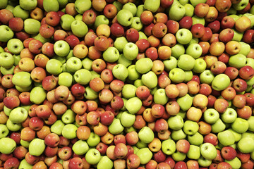 red and green apples