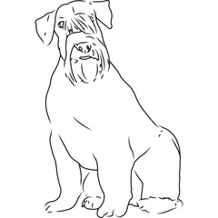 Miniature Schnauzer Dog, Hand Sketched Vector Drawing