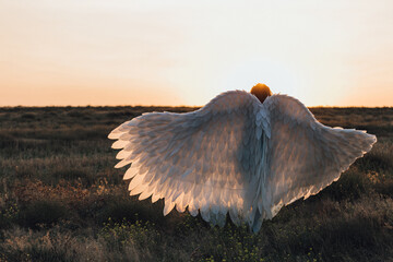 A young beautiful girl in black clothes and with stylized former wings in the form of an angel or a...