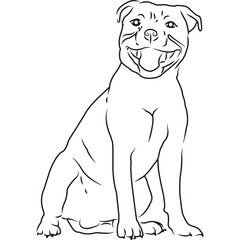 Staffordshire Bull Terrier Dog, Hand Sketched Vector Drawing
