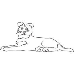 Yorkshire Terrier Dog, Hand Sketched Vector Drawing