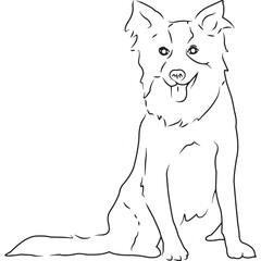 Border Collie Dog, Hand Sketched Vector Drawing