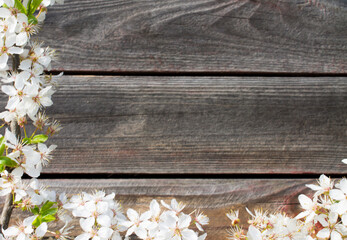 Wooden background framed by a flowering branch