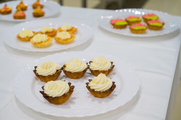 Assortment of delicious fresh shortcrust tart cakes with cream on white plate for sale at restaurant, cafe, bakery. Dessert, culinary, sweet food and confectionery concept