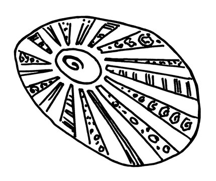 Seashell. Hand Drawn. Line art. Black ink Illustration.