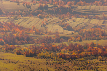 Naklejka premium The Bieszczady color palette, a real autumn in the Bieszczady Mountains, Wołosate