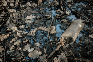 Obraz premium Pollution garbage in environment forest. Rubbish plastic waste on woodland. Empty used dirty bottles in the concept of nature conservation from pollution.