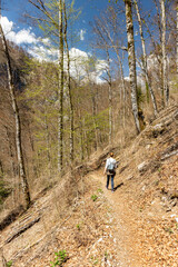 Fototapeta na wymiar Woman hiker walking down the narrow, steep forest trail deep in the woods of Risnjak national park, Croatia