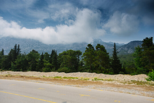 High mountains and green pine forest in the afternoon in summer