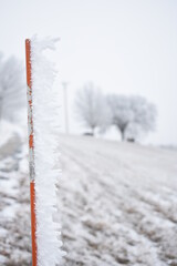 Frosted Guidepost
