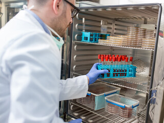 Young doctor lab technician putting samples in vials into cold storage fridge - obrazy, fototapety, plakaty
