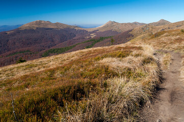 Panorama from the top of Halicz to Tarnica, Krzemien, Bukowe Berdo and Polonine Carynska, Bieszczady Mountains, Wołosate
