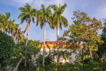 Jardines y palmerales en la Quinta Avenida de la ciudad de La Habana en Cuba
