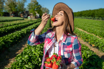 Farmer woman eating fresh picked strawberries