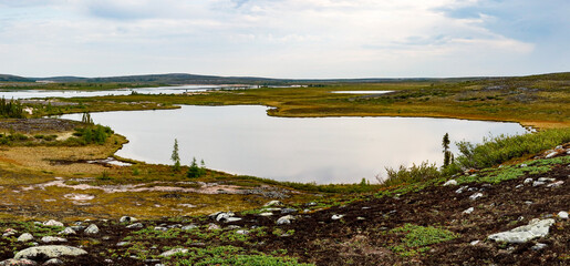 Thelon River, Barren lands, Wilderness, Lonely, remote, Tundra, dwarf trees