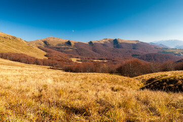 Fototapeta premium Panorama from the top of Tarnica to Halicz, Rozsypaniec, Krzemien, Ukraine, Pikuj, Borzawa, the highest peaks of the Bieszczady Mountains, Bieszczady Mountains, Wołosate 