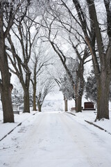 Snowy Overlook