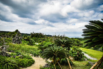 沖縄の海と空と植物