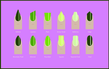 Collection of different nail shapes and shapes with trendy green manicure. Fashionable color.
