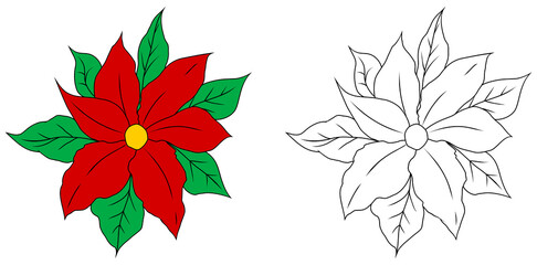 Christmas poinsettia flower. Coloring book page for children. Colored and outline vector illustration isolated on white background. Christmas star.