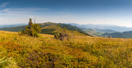 Fototapeta na wymiar Panorama from the Rozsypaniec summit to the peaks of Tarnica, Halicz, Bukowe Berdko, Krzemien, Polonina Carynska, Kopa Bukowska, Bieszczady Mountains, Wołosate